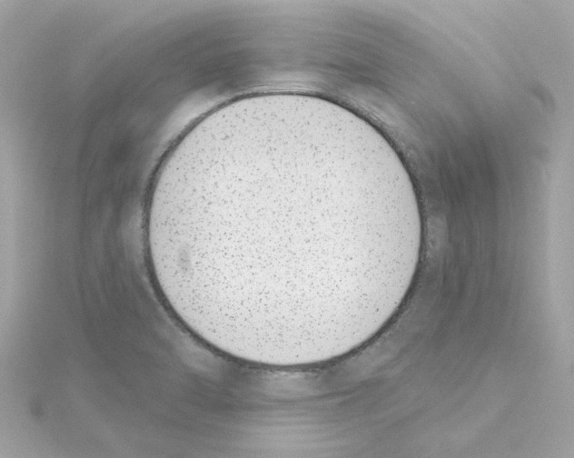 X0000115231470200911271812