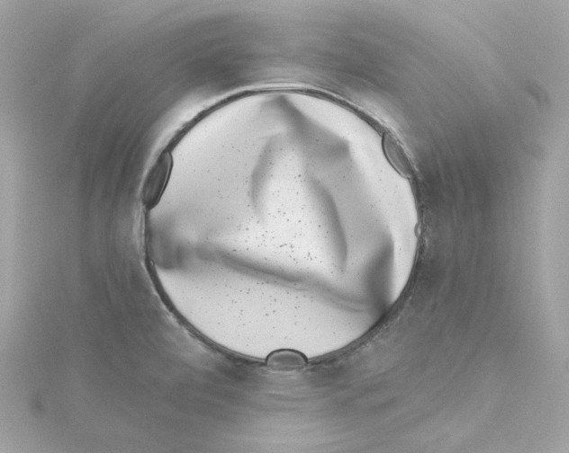 X0000115231472200911271812