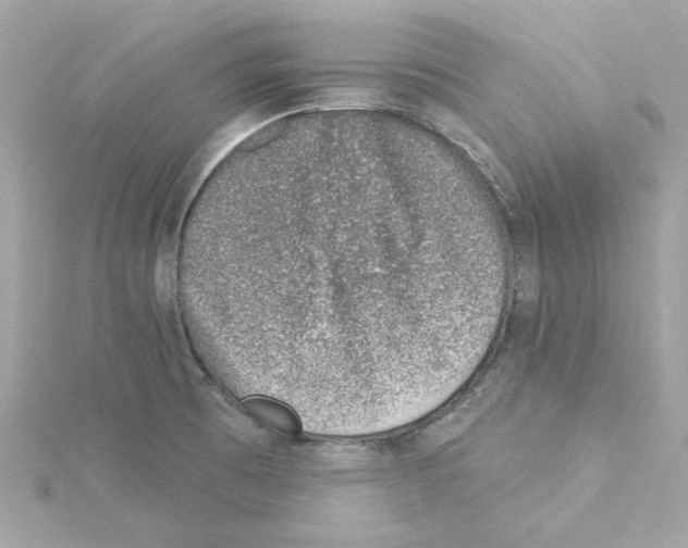 X0000115231473200911271812