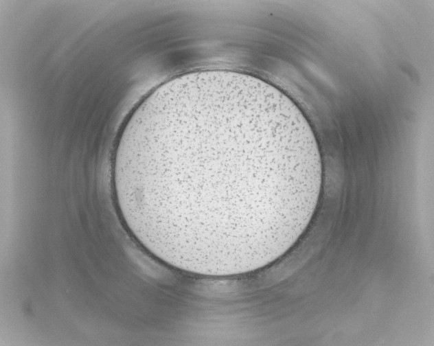 X0000115231474200911271812