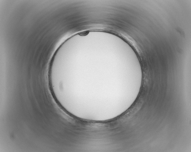 X0000115231475200911271812