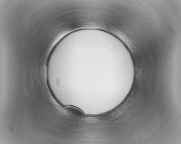 X0000115231476200911271812