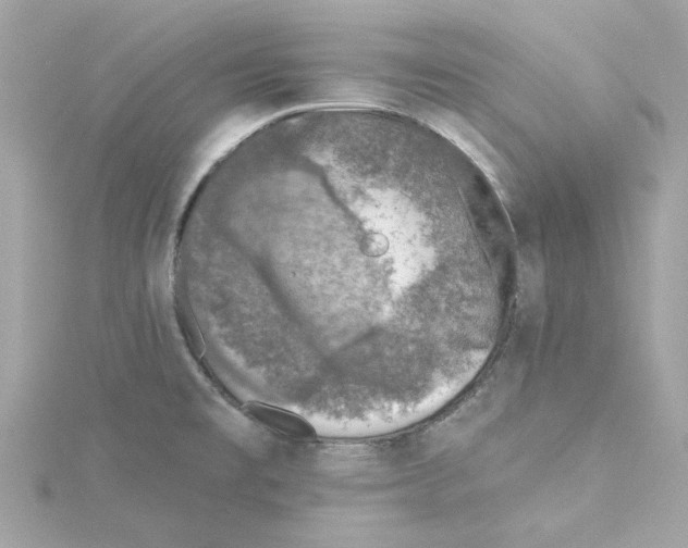 X0000115231477200911271812