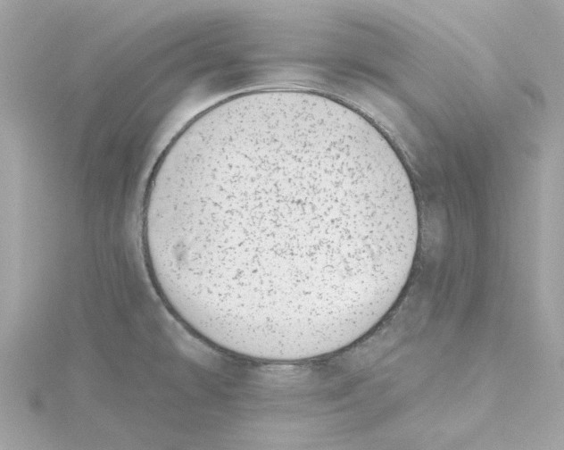 X0000115231478200911271812