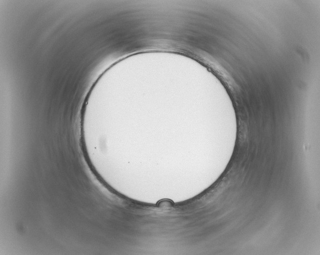 X0000115231479200911271812