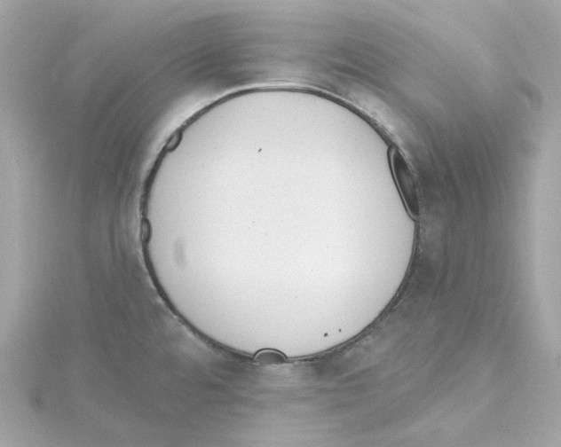 X0000115231480200911271812