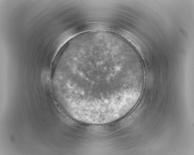 X0000115231481200911271812