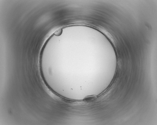 X0000115231482200911271812