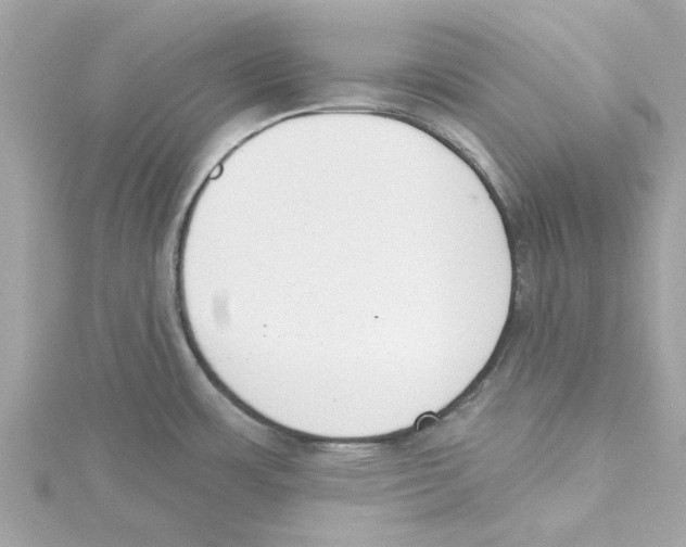 X0000115231483200911271812