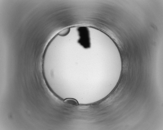 X0000115231484200911271812