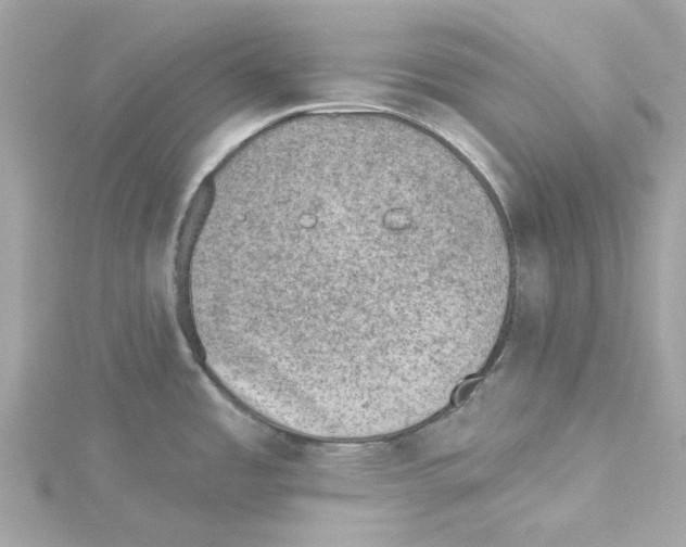 X0000115231485200911271812