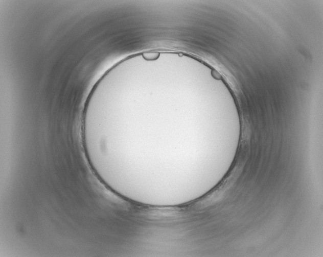 X0000115231486200911271812