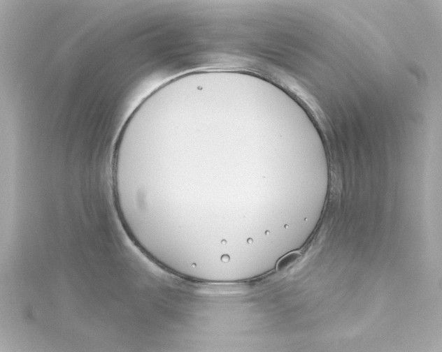 X0000115231487200911271812