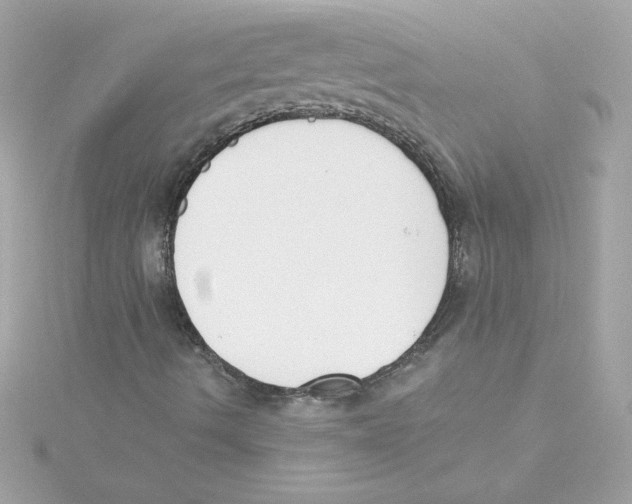 X0000115231490200911271811