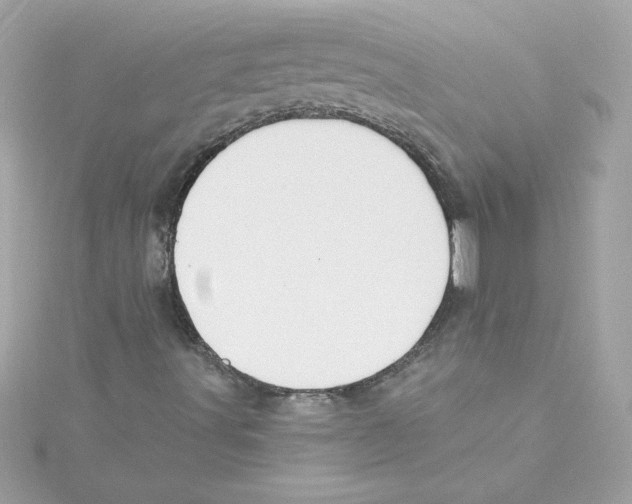 X0000115231491200911271811