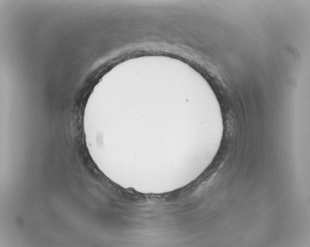 X0000115231494200911271811