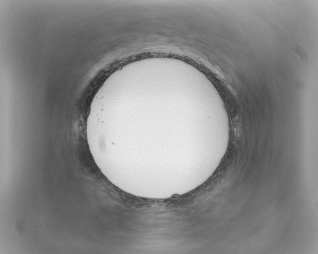 X0000115231495200911271811