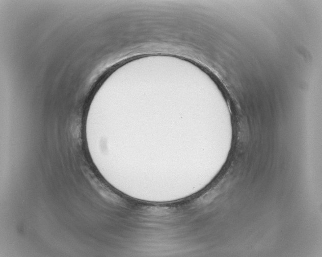 X0000115231499200911271811