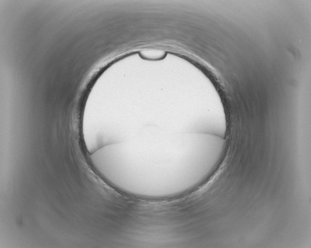 X0000115231506200911271811