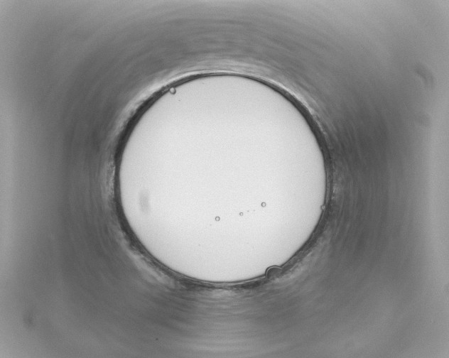 X0000115231507200911271811