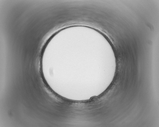 X0000115231511200911271811