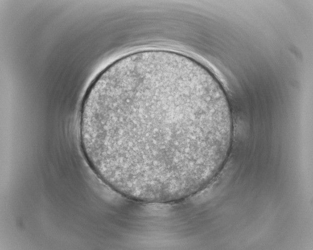 X0000115231514200911271811