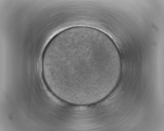 X0000115231515200911271812