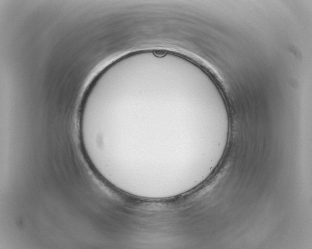 X0000115231517200911271812