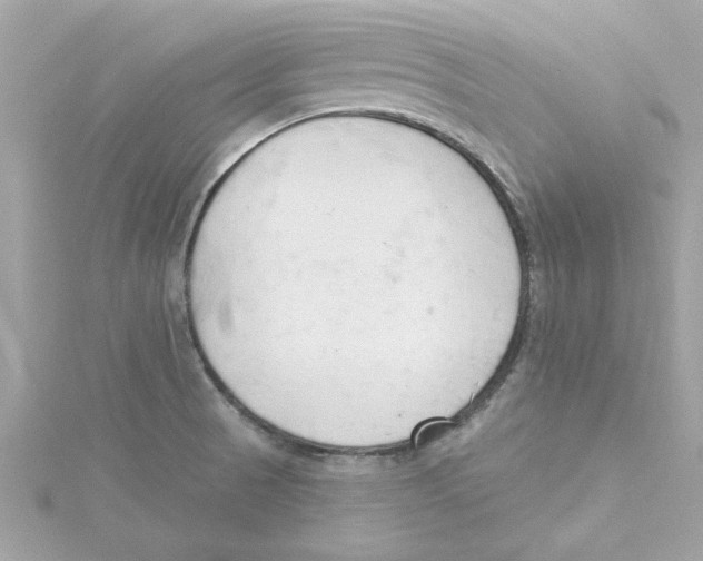 X0000115231521200911271812