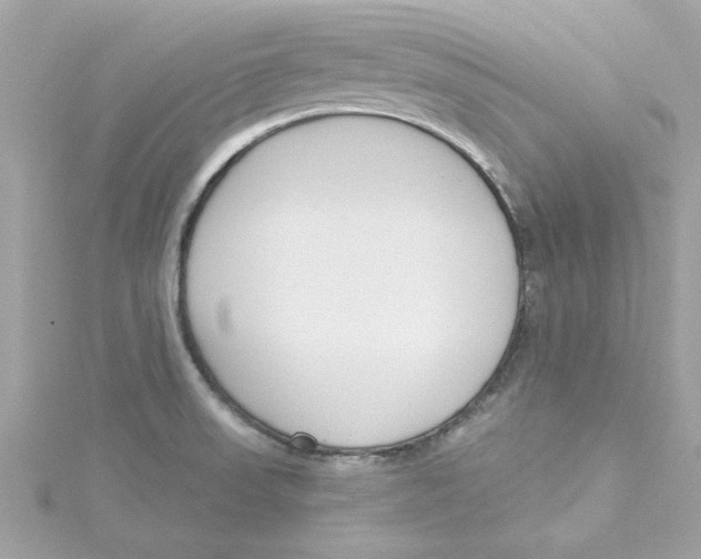 X0000115231523200911271812