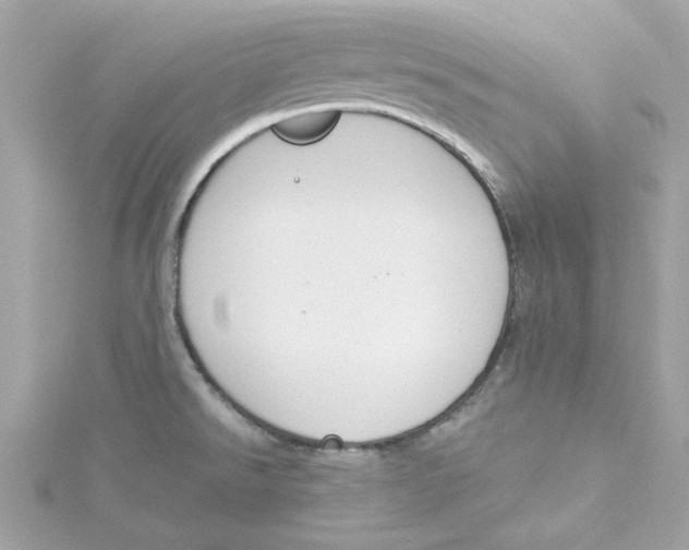 X0000115231526200911271812