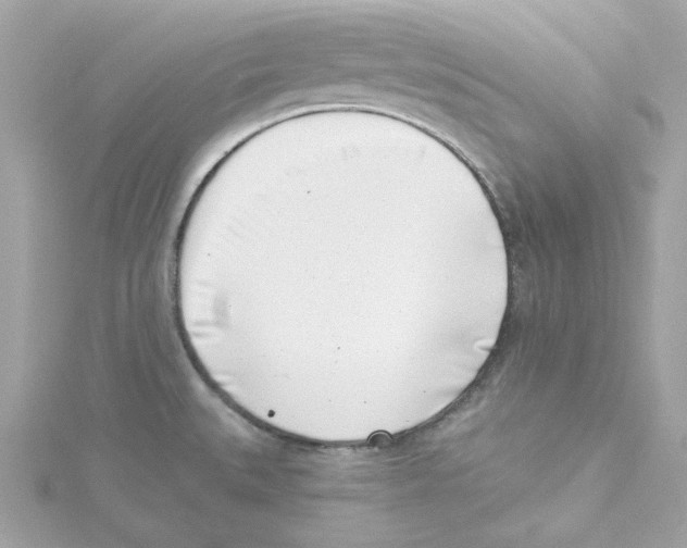 X0000115231527200911271812