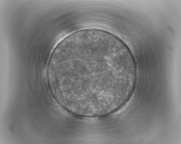 X0000115231529200911271812