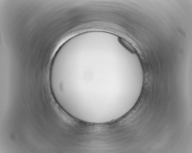 X0000115231530200911271812