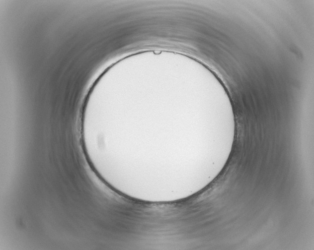 X0000115231531200911271812