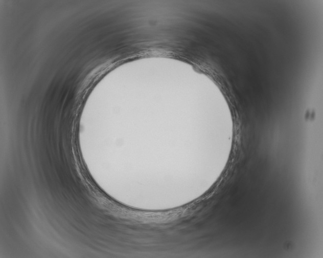 X0000115230001200912111042