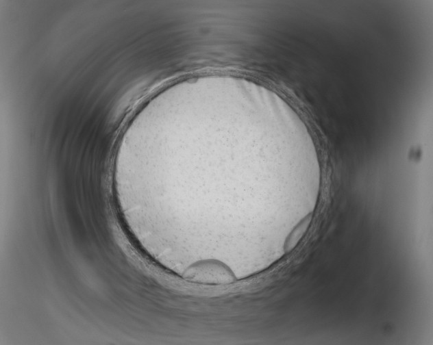 X0000115230002200912111042