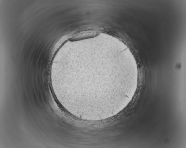 X0000115230003200912111042