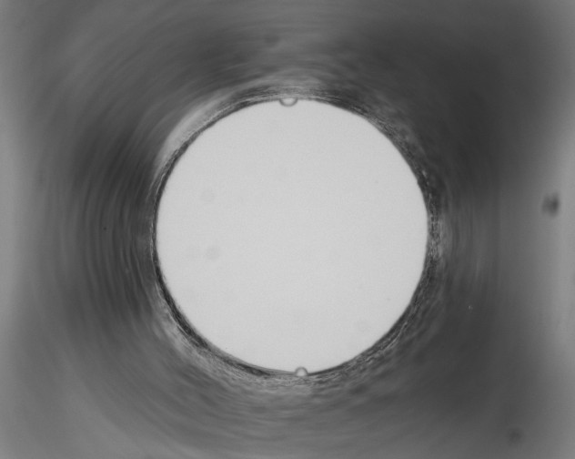 X0000115230004200912111042