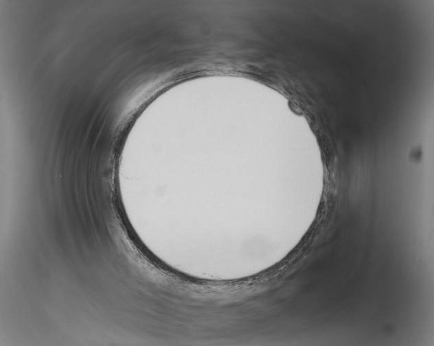 X0000115230005200912111041