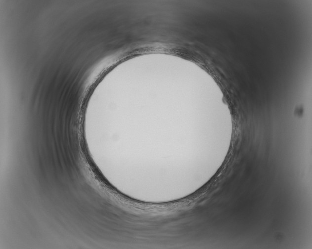 X0000115230006200912111041