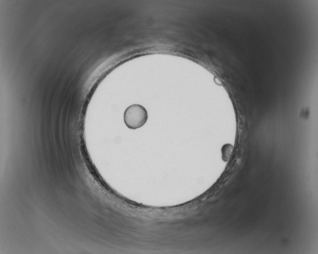 X0000115230007200912111041