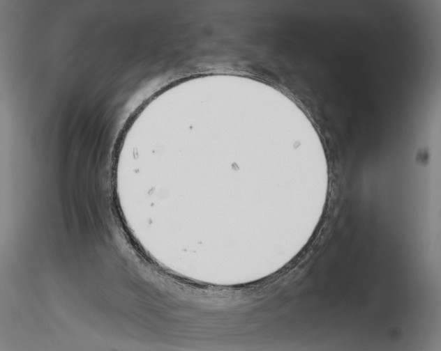 X0000115230008200912111041