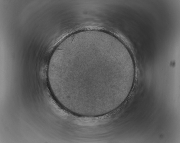 X0000115230009200912111041