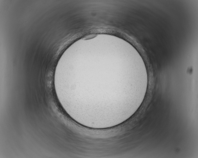 X0000115230010200912111041