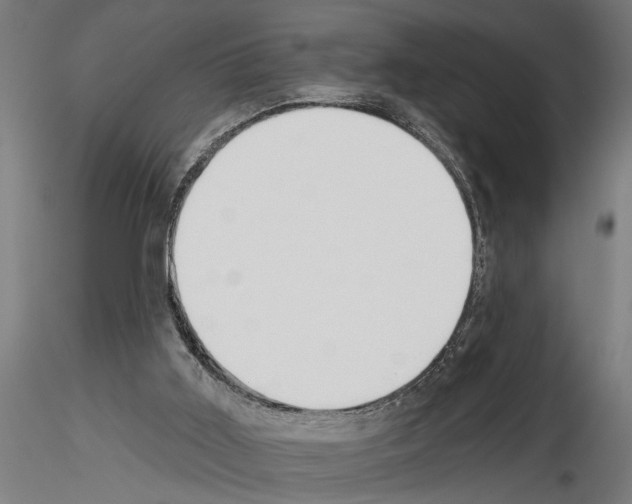 X0000115230011200912111041