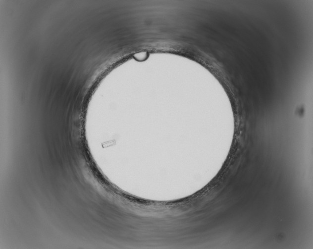 X0000115230012200912111041