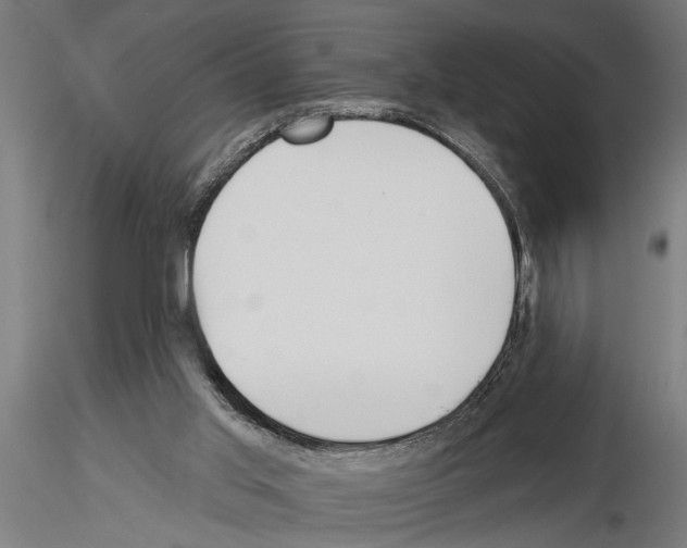 X0000115230013200912111041