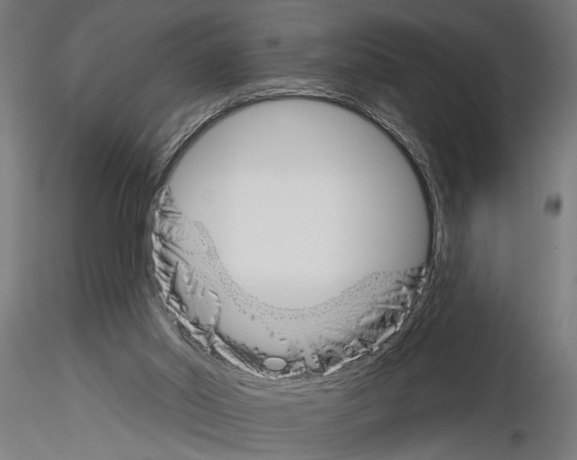 X0000115230014200912111041