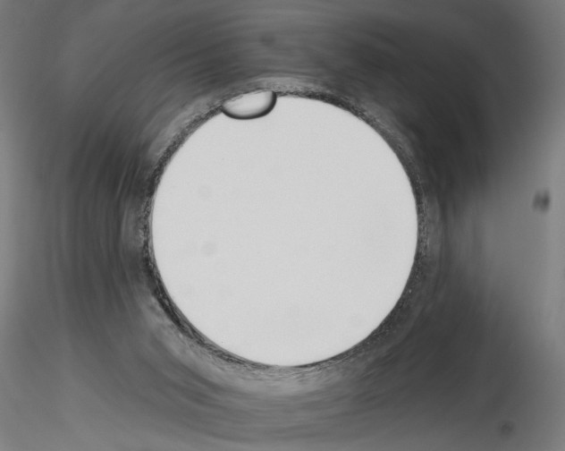 X0000115230015200912111041